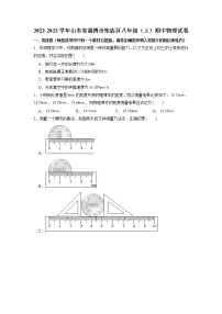 山东省淄博市张店区2022-2023学年八年级上学期期中考试物理试题（含答案）