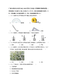 广西玉林市玉州区2022-2023学年八年级上学期期中物理试卷(含答案)