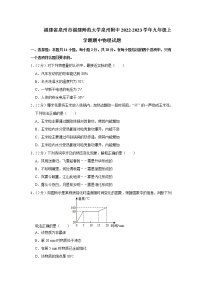 福建省泉州市福建师范大学泉州附属中学2022-2023学年九年级上学期期中物理试题 (含答案)