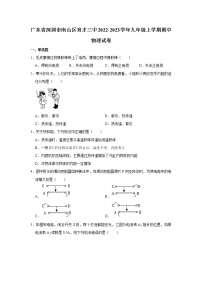 广东省深圳市南山区育才三中2022-2023学年九年级上学期期中物理试卷(含答案)