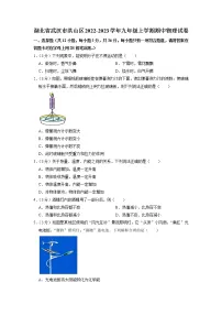 湖北省武汉市洪山区2022-2023学年九年级上学期期中物理试卷（含答案）