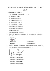 广东省惠州市惠阳区崇雅中学2022-2023学年八年级上学期物理期中考试卷(含答案)