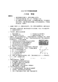 湖南省常德市汉寿县2022-2023学年八年级上学期期中考试物理试题(含答案)