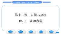 物理粤沪版第十二章 内能与热机12.1 认识内能习题课件ppt