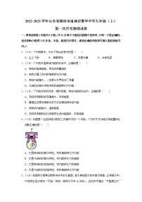 山东省诸城市繁华初级中学2022-2023学年九年级上学期第一次月考物理试卷(含答案)