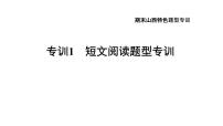 人教版九年级物理下册期末题型专训1短文阅读题型专训课件