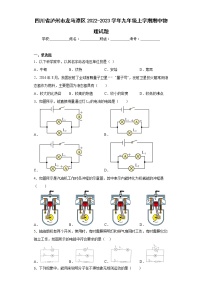 四川省泸州市龙马潭区2022-2023学年九年级上学期期中物理试题(含答案)