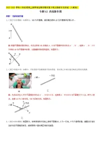 专题12 光现象作图(解析版)-2022-2023学年八年级物理上册学优生期中期末复习难点题型专项突破(人教版)