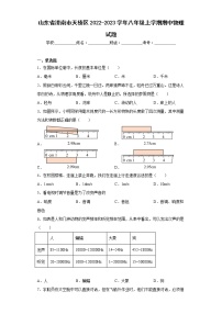 山东省济南市天桥区2022-2023学年八年级上学期期中物理试题(含答案)