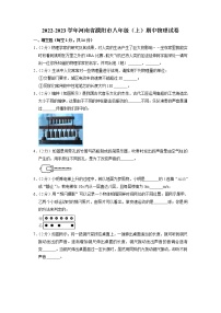 河南省濮阳市2022-2023学年八年级上学期期中物理试卷