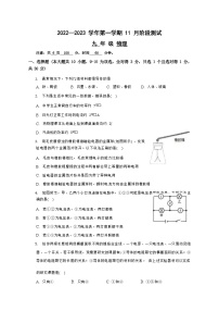 河南省洛阳市第二十三中学2022-2023学年九年级上学期期中物理试题（Word版无答案）