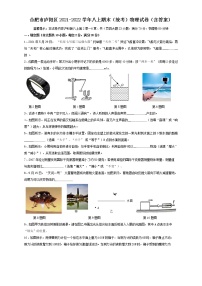 安徽省合肥市庐阳区2021-2022学年八年级上学期期末考试物理试卷（含答案）