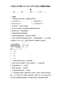 广西崇左市宁明县2022-2023学年八年级上学期期中物理试题(含答案)