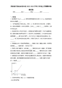 河南省平顶山市宝丰县2022-2023学年八年级上学期期中物理试题(含答案)