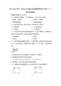 广东省江门市蓬江区荷塘雨露学校2022-2023学年九年级上学期期中测试物理试题 (含答案)