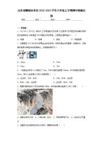 山东省聊城市莘县2022-2023学年八年级上学期期中物理试题(含答案)