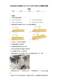 山东省济宁市邹城市2022-2023学年八年级上学期期中物理试题(含答案)