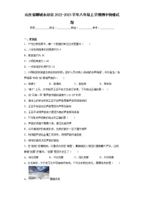 山东省聊城市冠县2022-2023学年八年级上学期期中物理试题(含答案)