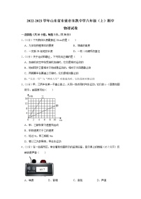 山东省东营市东凯中学2022-2023学年八年级上学期期中物理试卷(含答案)