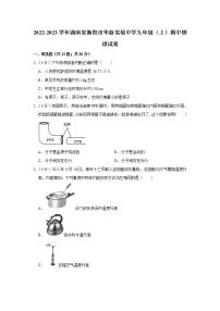 湖南省衡阳市华新实验中学2022-2023学年九年级上学期期中物理试卷(含答案)