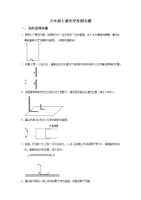 2022-2023学年八年级物理上册《光学作图》专题