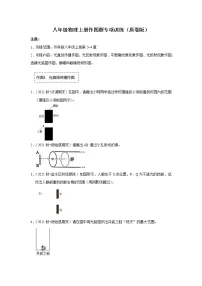 2022-2023学年八年级物理上册作图题专项训练