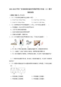 广东省深圳市盐田外国语学校2022-2023学年八年级上学期物理期中考试卷(含答案)