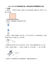 2021-2022年中考物理真题汇编：简单机械作图专题附解析学生版