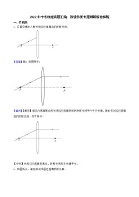 2022年中考物理真题汇编：透镜作图专题附解析教师版