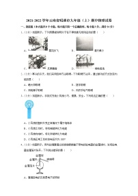云南省昭通市2021-2022学年九年级上学期期中物理试题