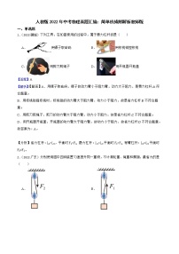 人教版2022年中考物理真题汇编：简单机械附解析