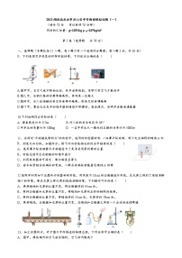 2022湖北省武汉市洪山区中考物理模拟试题