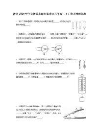 安徽省阜阳市临泉县2019-2020学年八年级下学期期末物理试题