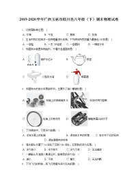 广西玉林市陆川县2019-2020学年八年级下学期期末物理试题