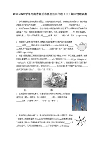 河南省商丘市夏邑县2019-2020学年八年级下学期期末物理试题