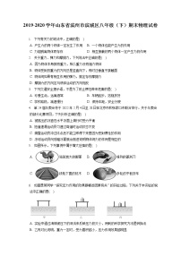 山东省滨州市滨城区2019-2020学年八年级下学期期末物理试题