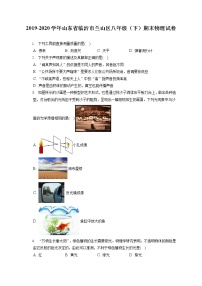 山东省临沂市兰山区2019-2020学年八年级下学期期末物理试题