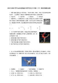 山东省临沂市罗庄区2019-2020学年八年级下学期期末物理试题