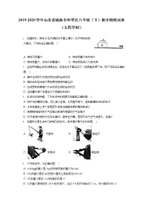 山东省威海市环翠区2019-2020学年八年级下学期期末物理试题（五四学制）