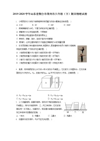 山东省烟台市莱州市2019-2020学年八年级下学期期末物理试题