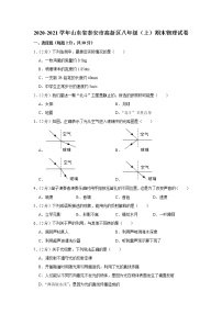 山东省泰安市高新区2020-2021学年八年级上学期期末物理试题