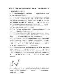 河南省安阳市殷都区2021-2022学年九年级上学期期末物理试题