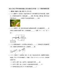 河南省商丘市永城市2021-2022学年九年级上学期期末物理试题