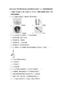 四川省乐山市井研县2020-2021学年九年级上学期期末物理试题