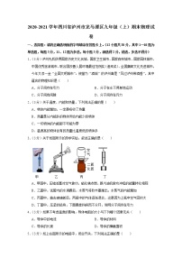 四川省泸州市龙马潭区2020-2021学年九年级上学期期末物理试题