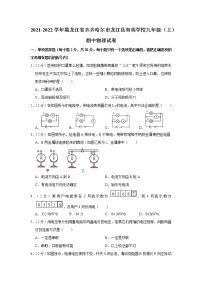 黑龙江省齐齐哈尔市龙江县育英学校2021-2022学年九年级上学期期中物理试题