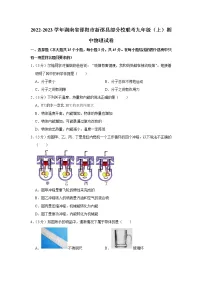 湖南省邵阳市新邵县部分校联考2022-2023学年九年级上学期期中物理试题