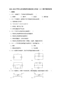 山东省菏泽市成武县2021-2022学年九年级上学期期中物理试题