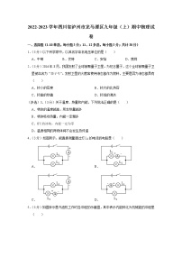 四川省泸州市龙马潭区2022-2023学年九年级上学期期中物理试题