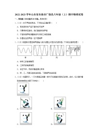 山东省东营市广饶县2022-2023学年八年级上学期期中物理试题